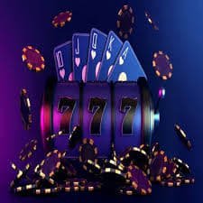 5544 bet
