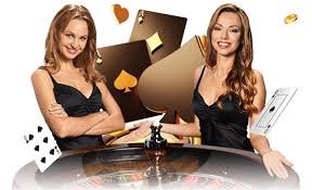 5544 bet